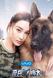 《奇兵神犬》“明星訓(xùn)犬隊”正式開啟   張馨予楊爍沙溢張大大姜潮加盟 