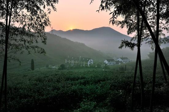 莫干山里法國山居：茶園竹海掩映中的美食殿堂