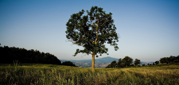 意大利藝術社區(qū)Monteverdi 蒙特威爾第莊園