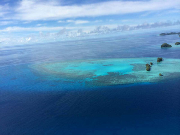 海底奇觀之首免簽小眾海島帕勞之旅