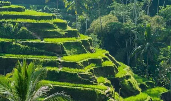 巴厘島The Legian 私密寧靜的度假天堂