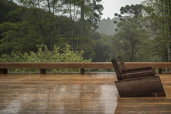 雨林中的晶瑩 玻璃豪宅的清涼風(fēng)景