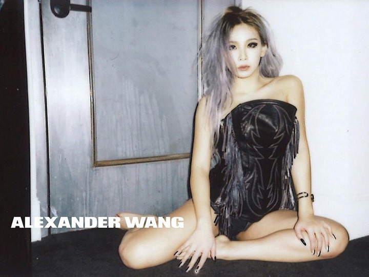 Alexander Wang 2016春夏系列廣告大片