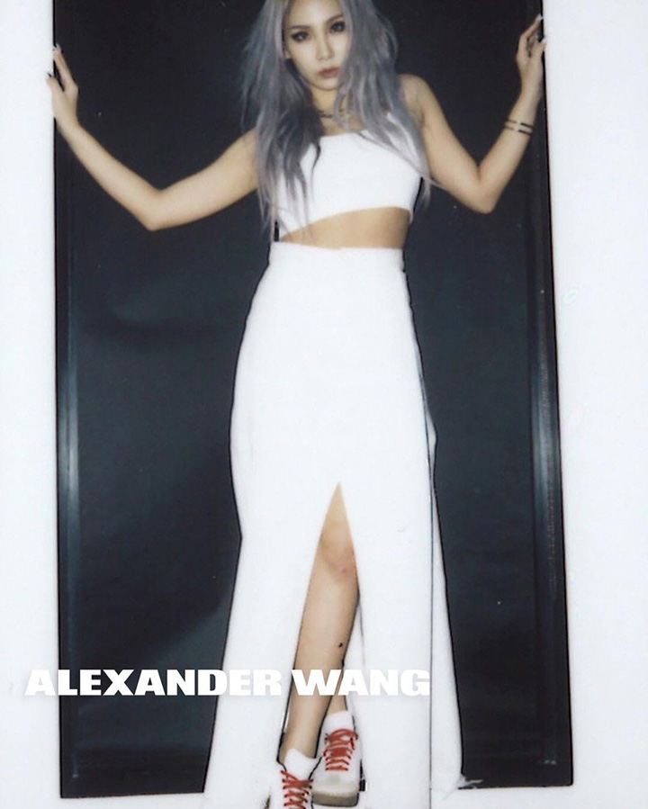 Alexander Wang 2016春夏系列廣告大片