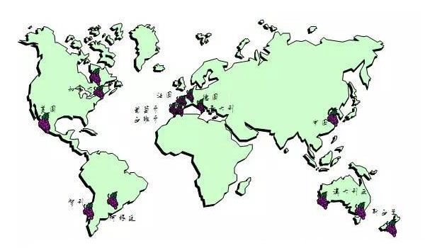 中國葡萄酒發(fā)展，走法國還是美國路線？
