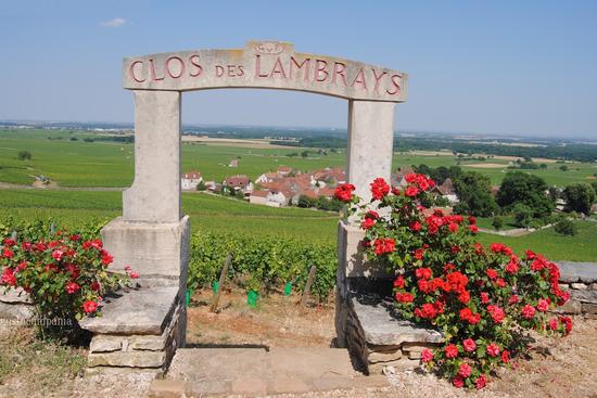 Clos des Lambrays