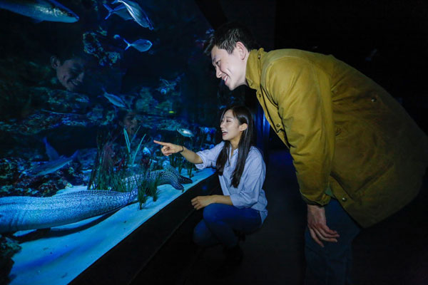 中國情侶入住Airbnb巴黎水族館，和鯊魚“共眠”