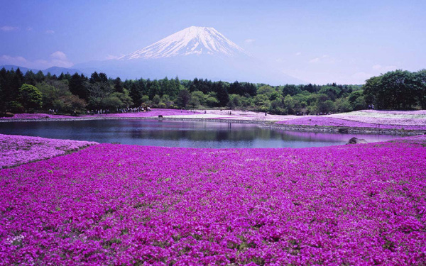 史上最完整北海道深度游地圖，給你一個(gè)愛上北海道的理由！