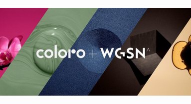 COLORO聯(lián)合WGSN發(fā)布2022/23秋冬的關(guān)鍵五大色系