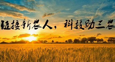 重磅！2021年中央一號文件發(fā)布，提出全面推進鄉(xiāng)村振興