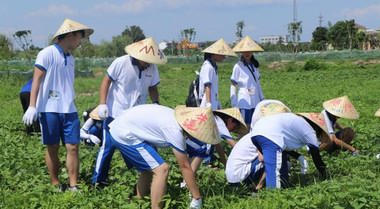 委員建議鼓勵大中小學開設學農實踐   學農的意義是什么