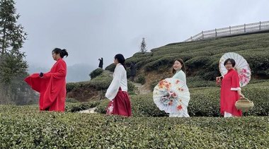 賞風景、品香茗、探茶道……荊楚四月天，花樣采茶游