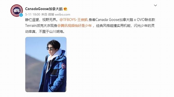 加拿大鵝(Canada Goose)陷“虛假宣傳”風波 國際品牌為何屢屢被罰