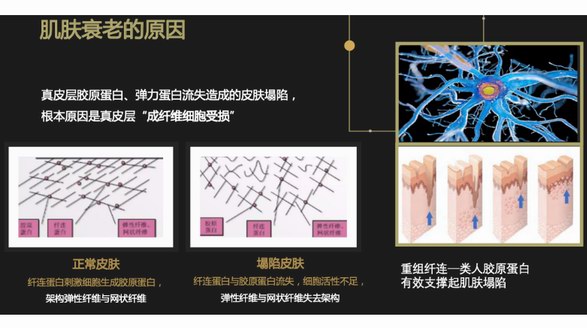 重組纖連-膠原蛋白：美尚潔打造新一代美容抗衰“神器”