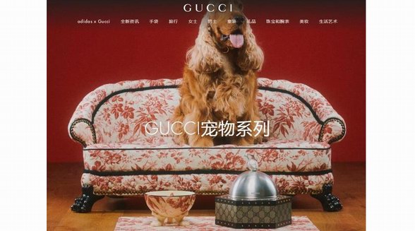 寵物奢侈品成潮流，Gucci、LV、愛馬仕等大牌搶灘“它經(jīng)濟”，一張寵物床賣7萬