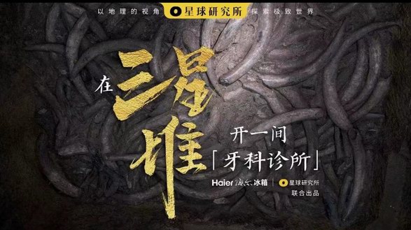 冰箱怎么守護(hù)象牙？三星堆實地探秘