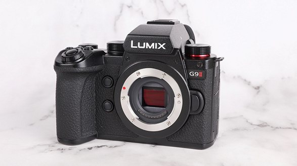 拍鳥新貴登場 松下LUMIX G9M2評(píng)測