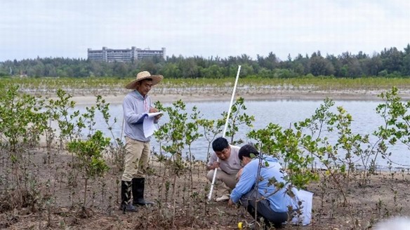 濱海生態(tài)再添新綠 各方聚力共護生物多樣性 馬爹利在瓊粵兩地同步啟動紅樹林保護項目第三階段工作