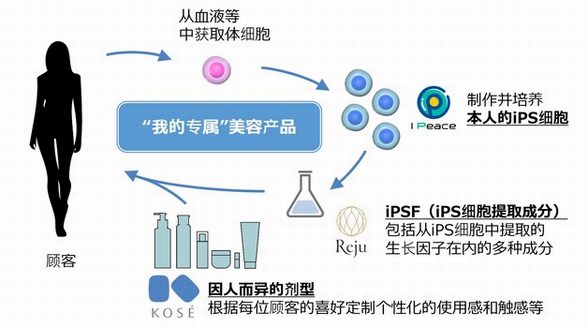 高絲、I Peace、Reju開展戰(zhàn)略性合作