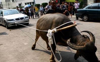 百萬寶馬車“問題”連連_寶馬質(zhì)量_寶馬質(zhì)量差