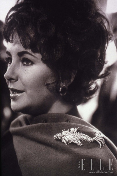 伊麗莎白·泰勒(Elizabeth Taylor)佩戴蒂芙尼海豚胸針